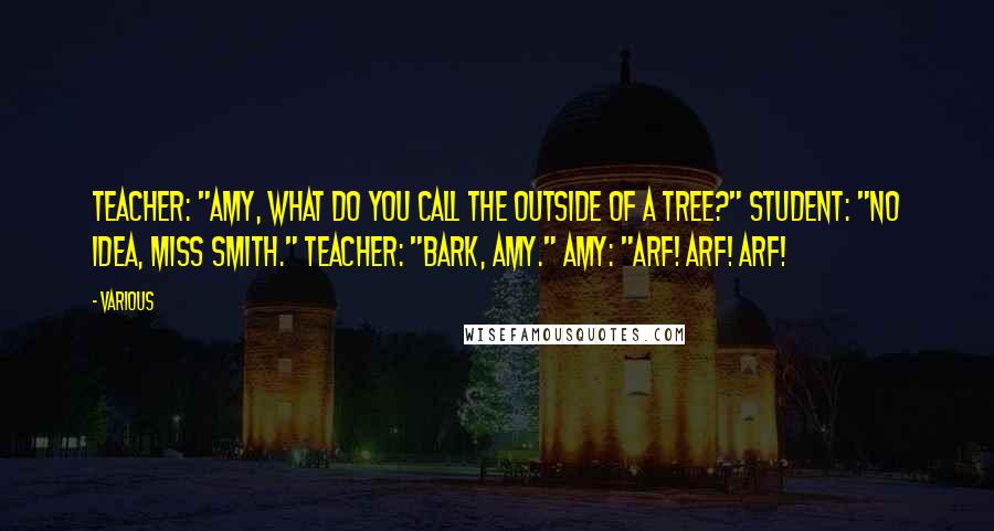 Various Quotes: Teacher: "Amy, what do you call the outside of a tree?" Student: "No idea, Miss Smith." Teacher: "Bark, Amy." Amy: "Arf! Arf! Arf!