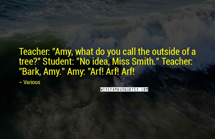 Various Quotes: Teacher: "Amy, what do you call the outside of a tree?" Student: "No idea, Miss Smith." Teacher: "Bark, Amy." Amy: "Arf! Arf! Arf!