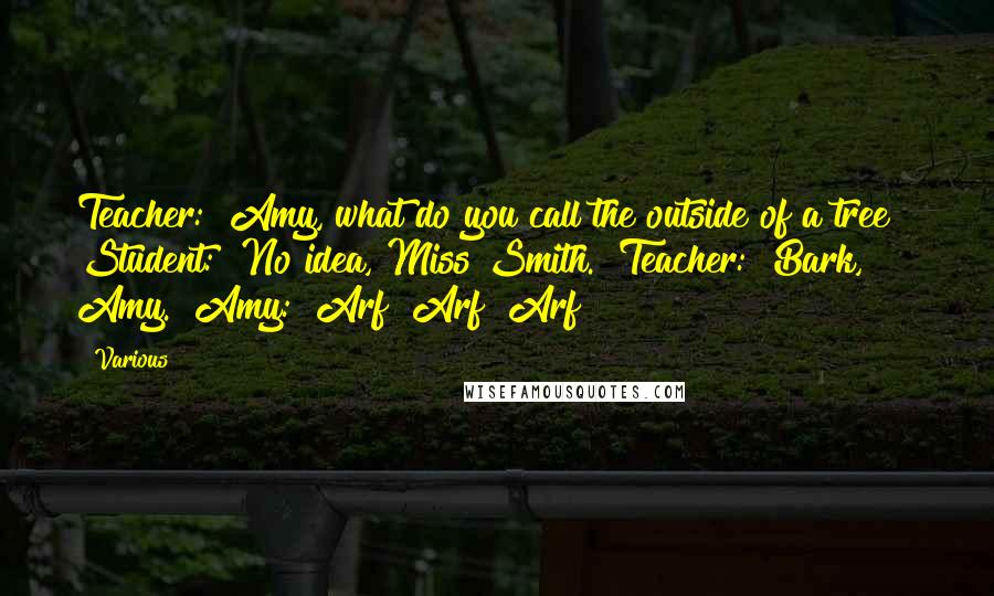 Various Quotes: Teacher: "Amy, what do you call the outside of a tree?" Student: "No idea, Miss Smith." Teacher: "Bark, Amy." Amy: "Arf! Arf! Arf!