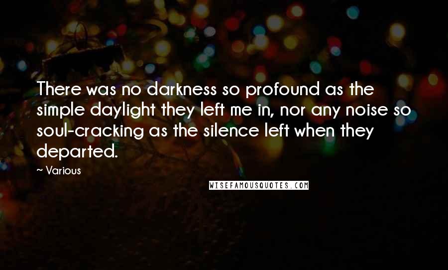 Various Quotes: There was no darkness so profound as the simple daylight they left me in, nor any noise so soul-cracking as the silence left when they departed.