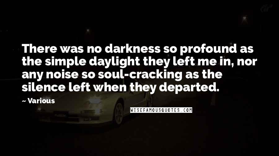 Various Quotes: There was no darkness so profound as the simple daylight they left me in, nor any noise so soul-cracking as the silence left when they departed.