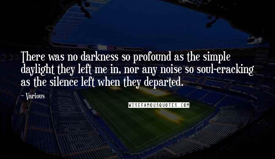 Various Quotes: There was no darkness so profound as the simple daylight they left me in, nor any noise so soul-cracking as the silence left when they departed.