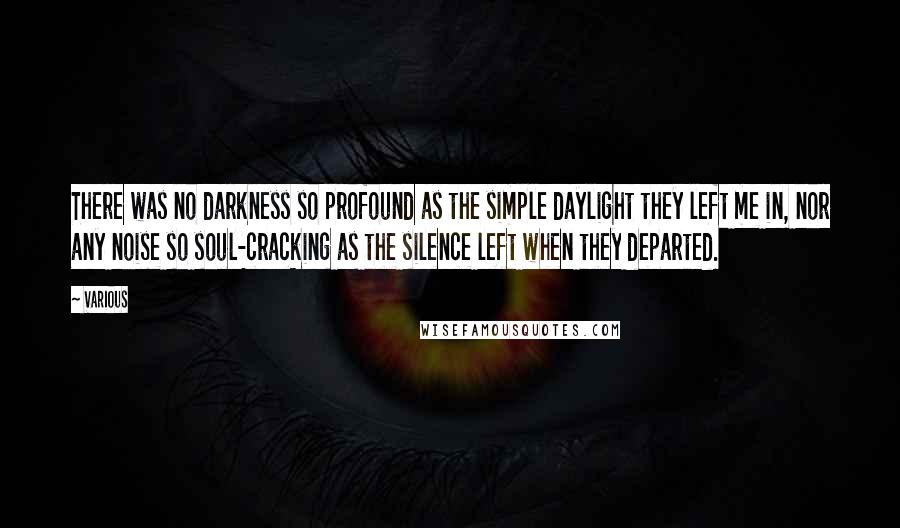 Various Quotes: There was no darkness so profound as the simple daylight they left me in, nor any noise so soul-cracking as the silence left when they departed.