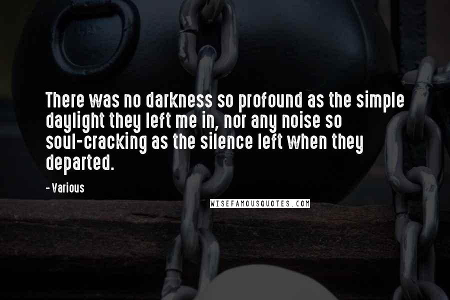 Various Quotes: There was no darkness so profound as the simple daylight they left me in, nor any noise so soul-cracking as the silence left when they departed.