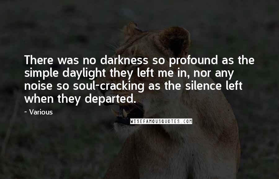 Various Quotes: There was no darkness so profound as the simple daylight they left me in, nor any noise so soul-cracking as the silence left when they departed.