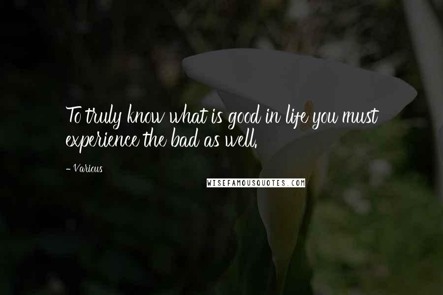 Various Quotes: To truly know what is good in life you must experience the bad as well.