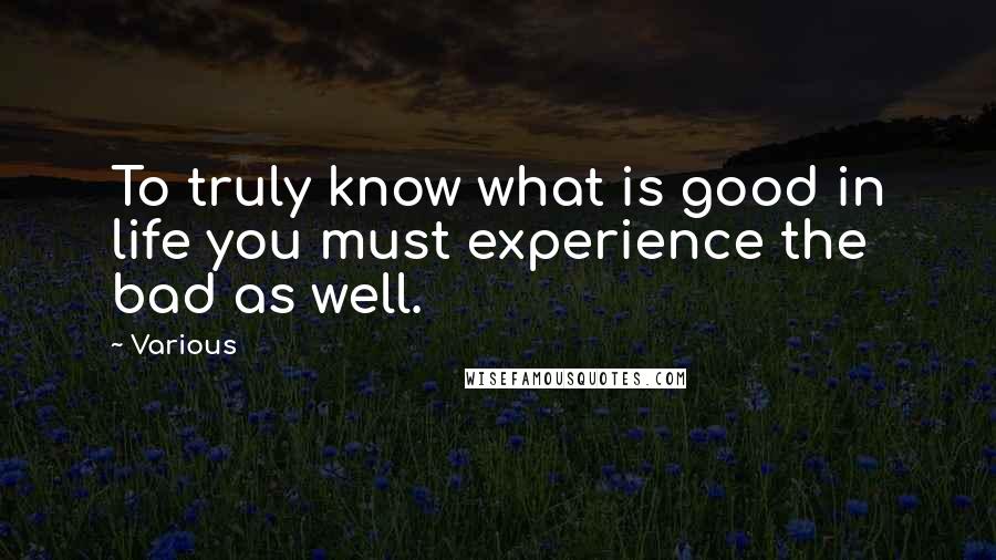 Various Quotes: To truly know what is good in life you must experience the bad as well.