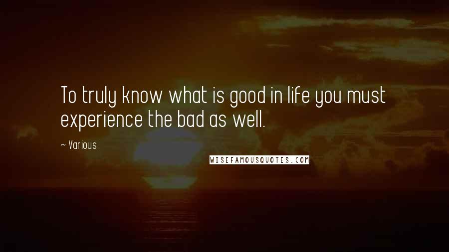 Various Quotes: To truly know what is good in life you must experience the bad as well.