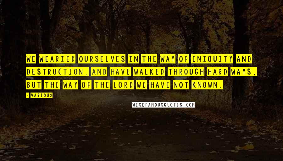 Various Quotes: We wearied ourselves in the way of iniquity and destruction, and have walked through hard ways, but the way of the Lord we have not known.