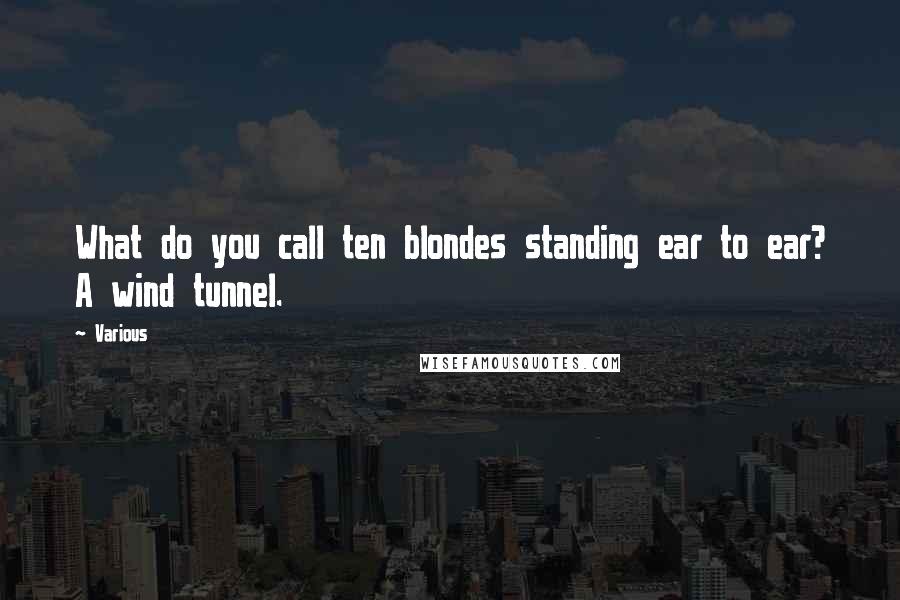 Various Quotes: What do you call ten blondes standing ear to ear? A wind tunnel.