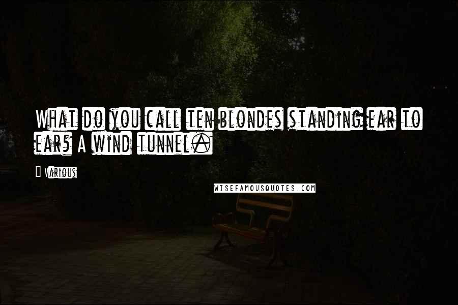 Various Quotes: What do you call ten blondes standing ear to ear? A wind tunnel.