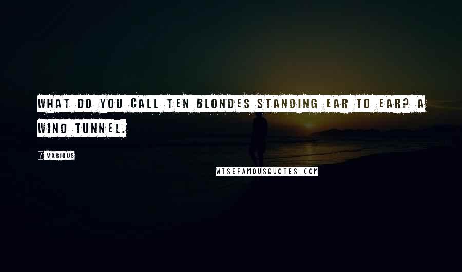 Various Quotes: What do you call ten blondes standing ear to ear? A wind tunnel.