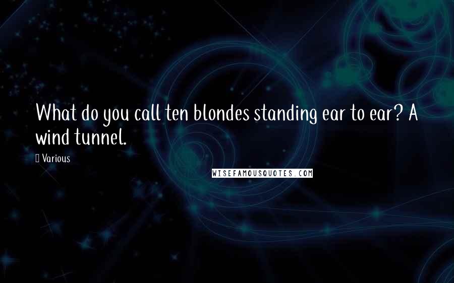 Various Quotes: What do you call ten blondes standing ear to ear? A wind tunnel.