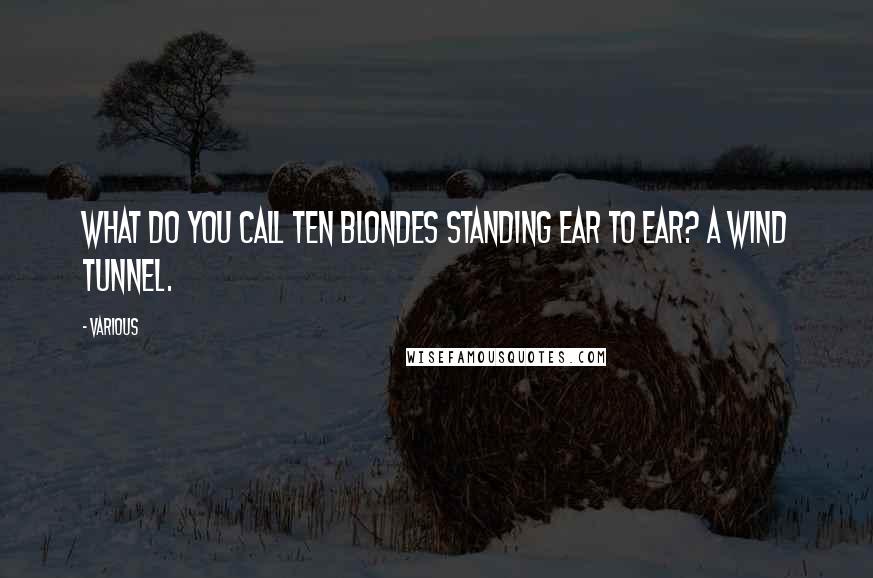 Various Quotes: What do you call ten blondes standing ear to ear? A wind tunnel.