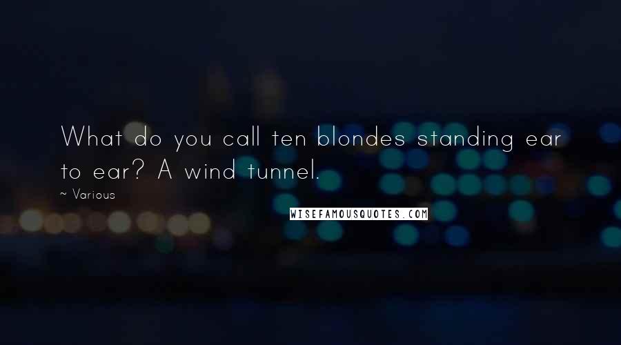 Various Quotes: What do you call ten blondes standing ear to ear? A wind tunnel.