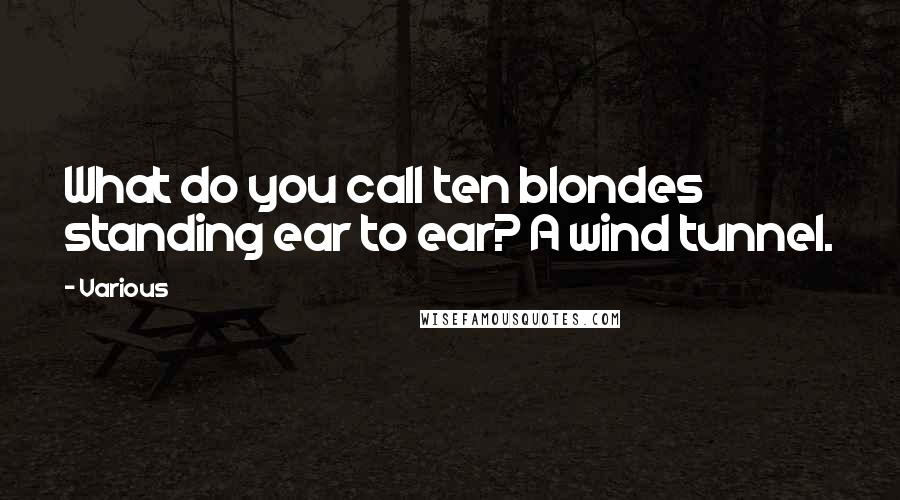 Various Quotes: What do you call ten blondes standing ear to ear? A wind tunnel.