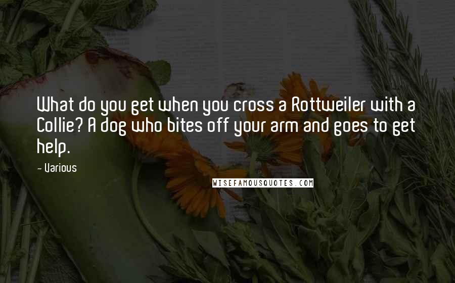Various Quotes: What do you get when you cross a Rottweiler with a Collie? A dog who bites off your arm and goes to get help.