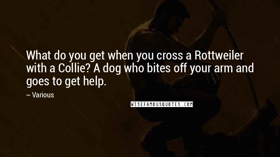 Various Quotes: What do you get when you cross a Rottweiler with a Collie? A dog who bites off your arm and goes to get help.