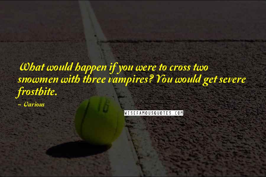 Various Quotes: What would happen if you were to cross two snowmen with three vampires? You would get severe frostbite.