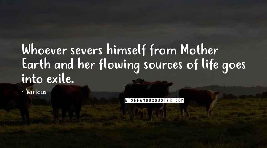 Various Quotes: Whoever severs himself from Mother Earth and her flowing sources of life goes into exile.