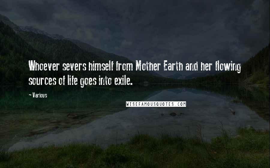 Various Quotes: Whoever severs himself from Mother Earth and her flowing sources of life goes into exile.