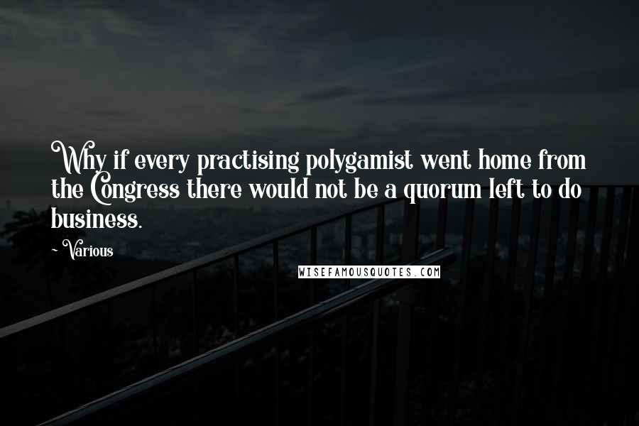 Various Quotes: Why if every practising polygamist went home from the Congress there would not be a quorum left to do business.