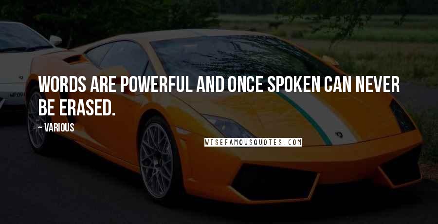 Various Quotes: Words are powerful and once spoken can never be erased.