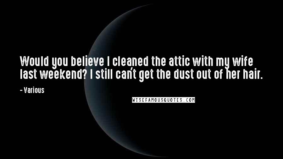 Various Quotes: Would you believe I cleaned the attic with my wife last weekend? I still can't get the dust out of her hair.