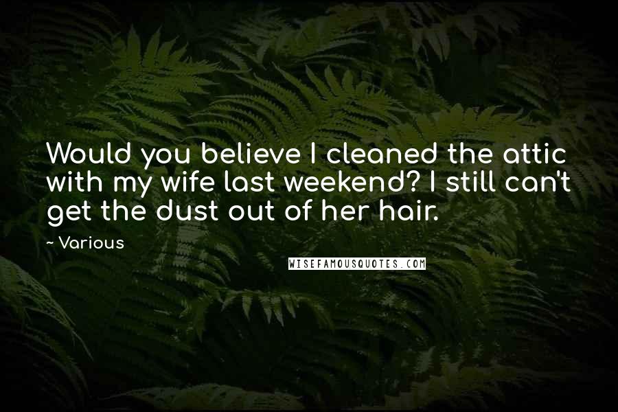 Various Quotes: Would you believe I cleaned the attic with my wife last weekend? I still can't get the dust out of her hair.