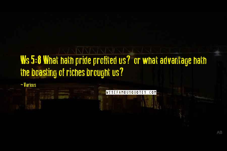 Various Quotes: Ws 5:8 What hath pride profited us? or what advantage hath the boasting of riches brought us?