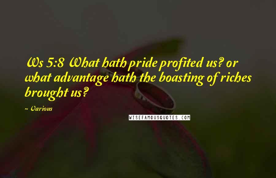 Various Quotes: Ws 5:8 What hath pride profited us? or what advantage hath the boasting of riches brought us?