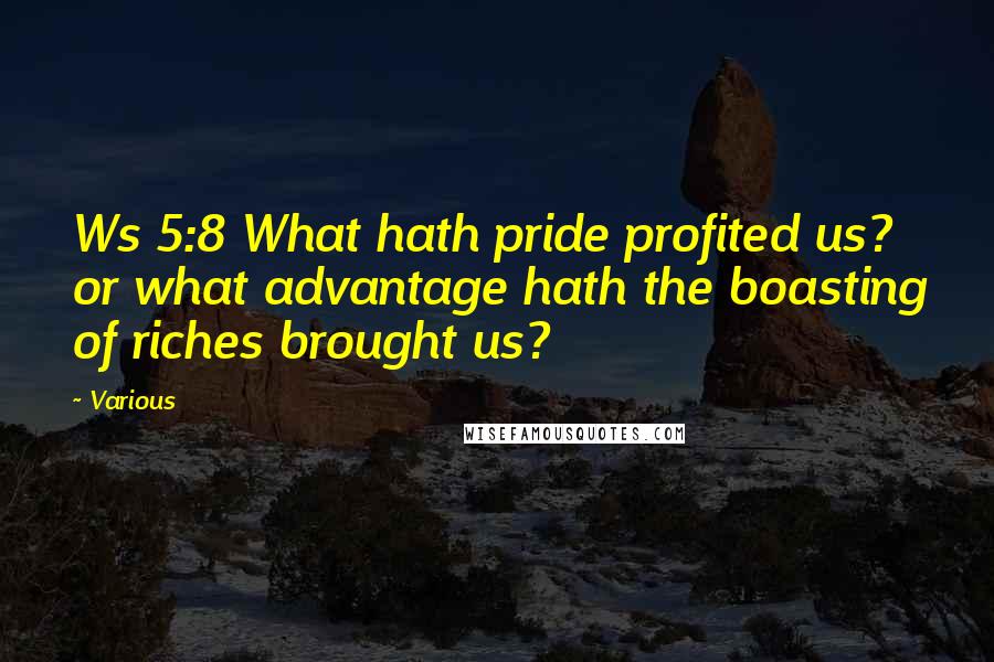 Various Quotes: Ws 5:8 What hath pride profited us? or what advantage hath the boasting of riches brought us?