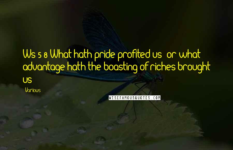 Various Quotes: Ws 5:8 What hath pride profited us? or what advantage hath the boasting of riches brought us?