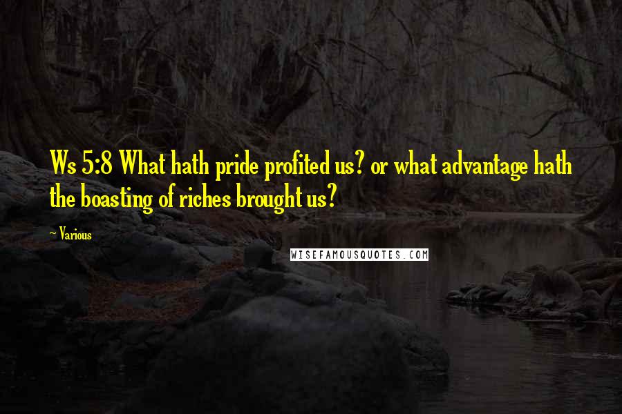 Various Quotes: Ws 5:8 What hath pride profited us? or what advantage hath the boasting of riches brought us?