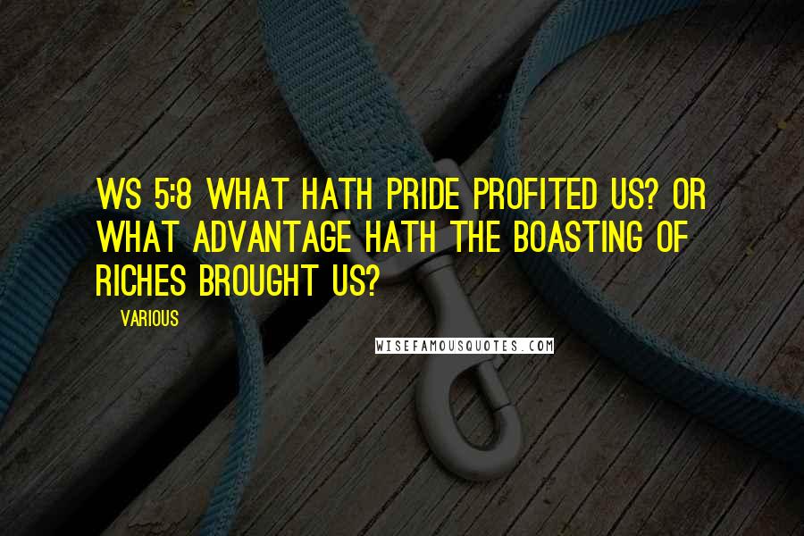 Various Quotes: Ws 5:8 What hath pride profited us? or what advantage hath the boasting of riches brought us?