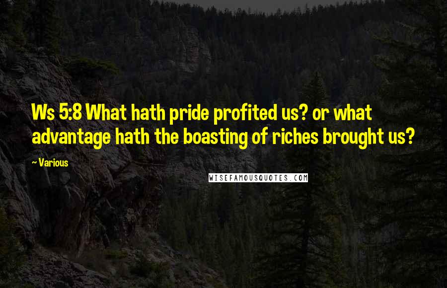 Various Quotes: Ws 5:8 What hath pride profited us? or what advantage hath the boasting of riches brought us?