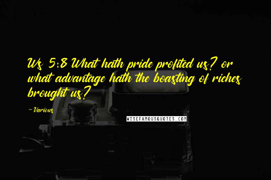 Various Quotes: Ws 5:8 What hath pride profited us? or what advantage hath the boasting of riches brought us?