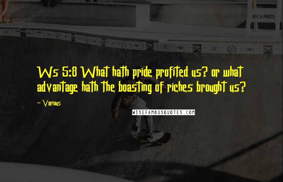 Various Quotes: Ws 5:8 What hath pride profited us? or what advantage hath the boasting of riches brought us?