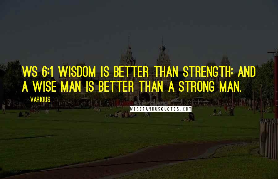 Various Quotes: Ws 6:1 Wisdom is better than strength: and a wise man is better than a strong man.