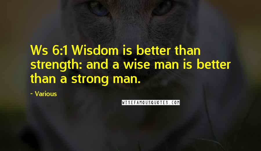 Various Quotes: Ws 6:1 Wisdom is better than strength: and a wise man is better than a strong man.