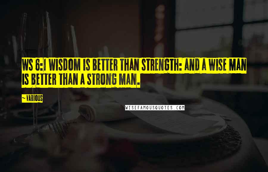 Various Quotes: Ws 6:1 Wisdom is better than strength: and a wise man is better than a strong man.