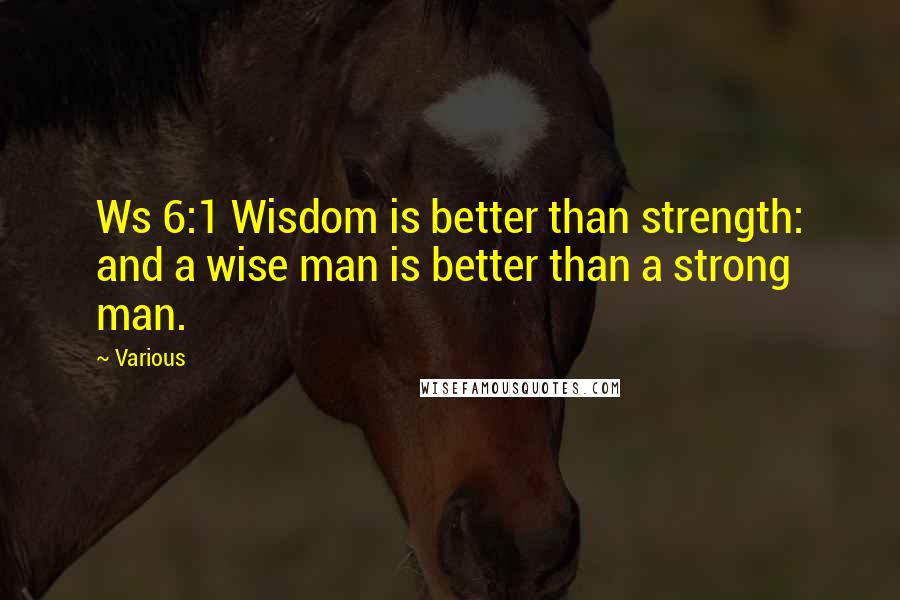 Various Quotes: Ws 6:1 Wisdom is better than strength: and a wise man is better than a strong man.