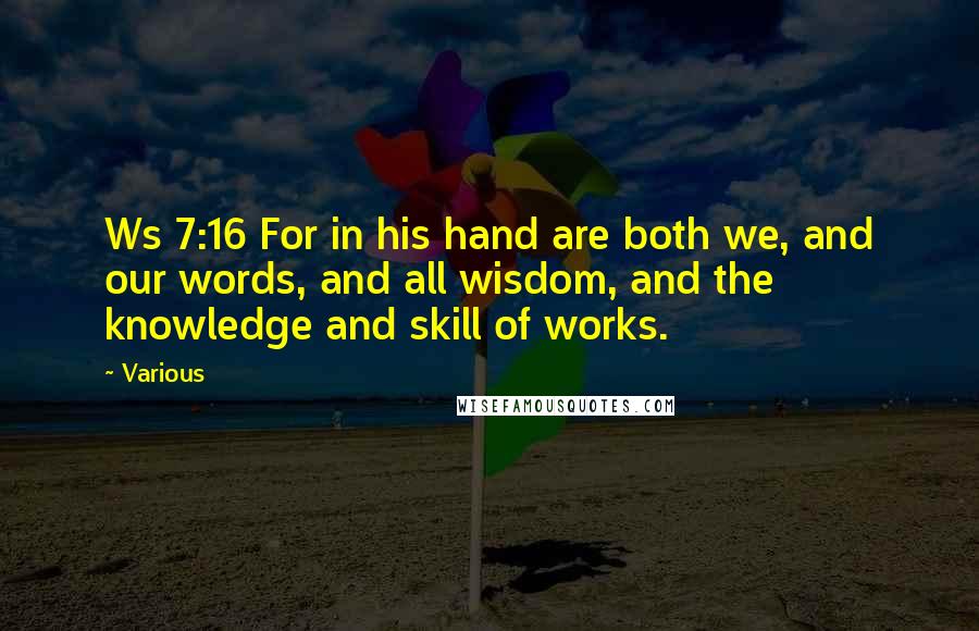 Various Quotes: Ws 7:16 For in his hand are both we, and our words, and all wisdom, and the knowledge and skill of works.