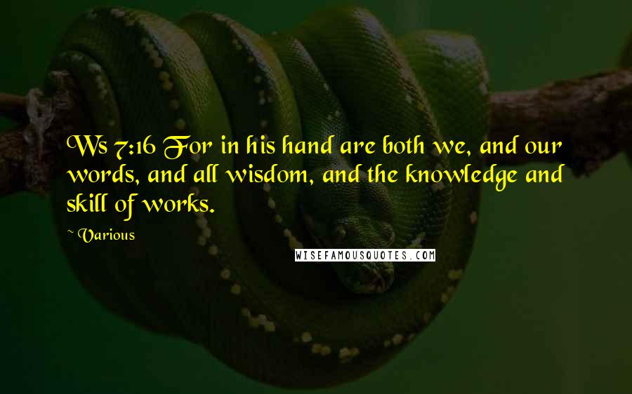 Various Quotes: Ws 7:16 For in his hand are both we, and our words, and all wisdom, and the knowledge and skill of works.