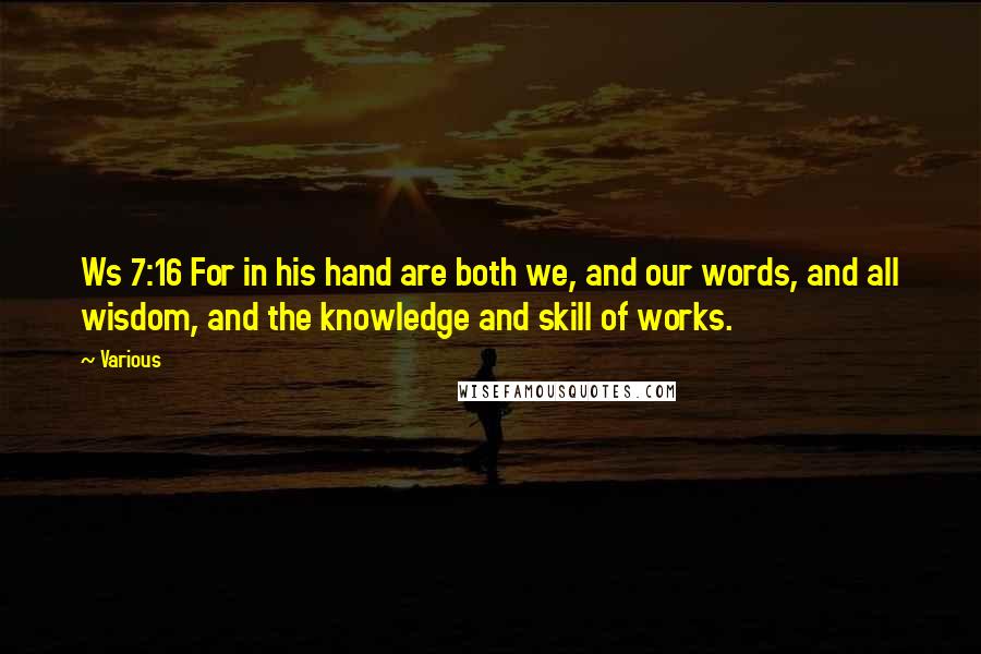 Various Quotes: Ws 7:16 For in his hand are both we, and our words, and all wisdom, and the knowledge and skill of works.