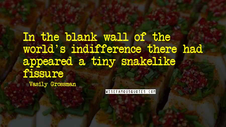 Vasily Grossman Quotes: In the blank wall of the world's indifference there had appeared a tiny snakelike fissure