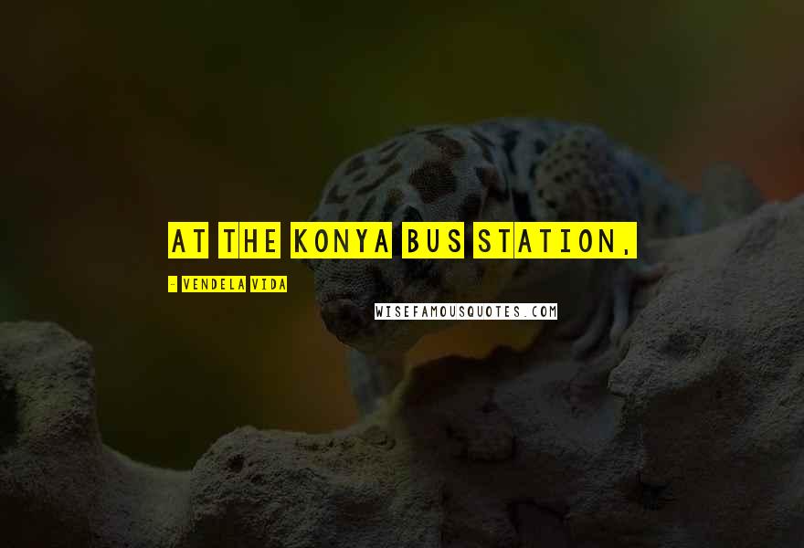 Vendela Vida Quotes: At the Konya bus station,
