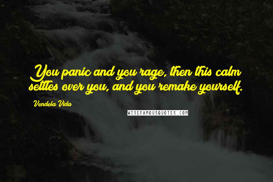 Vendela Vida Quotes: You panic and you rage, then this calm settles over you, and you remake yourself.