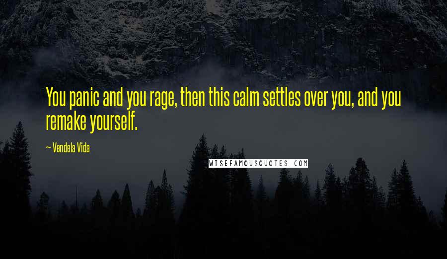 Vendela Vida Quotes: You panic and you rage, then this calm settles over you, and you remake yourself.