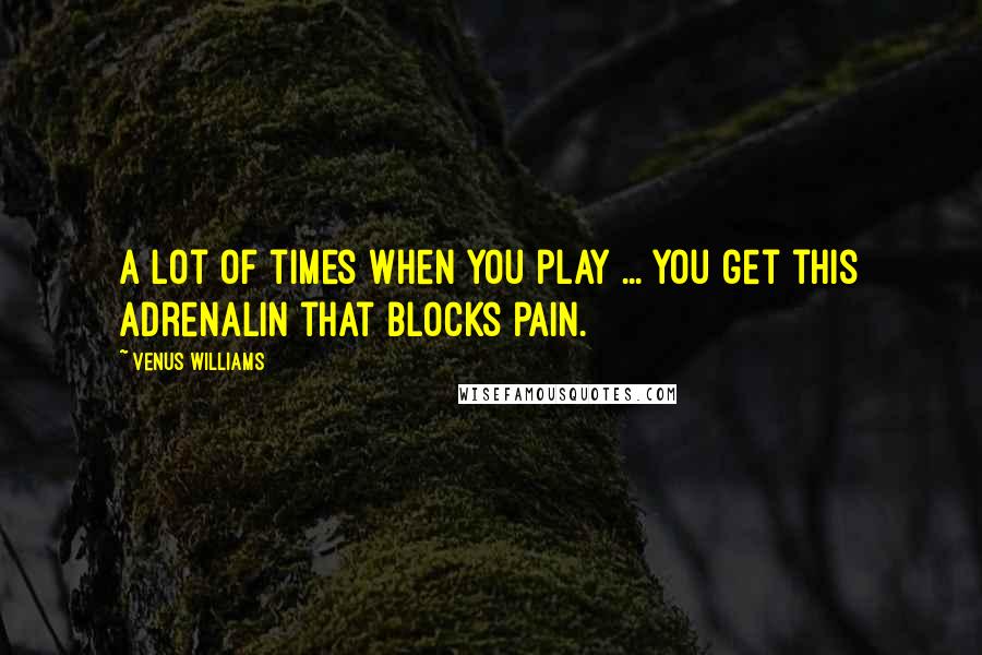 Venus Williams Quotes: A lot of times when you play ... you get this adrenalin that blocks pain.